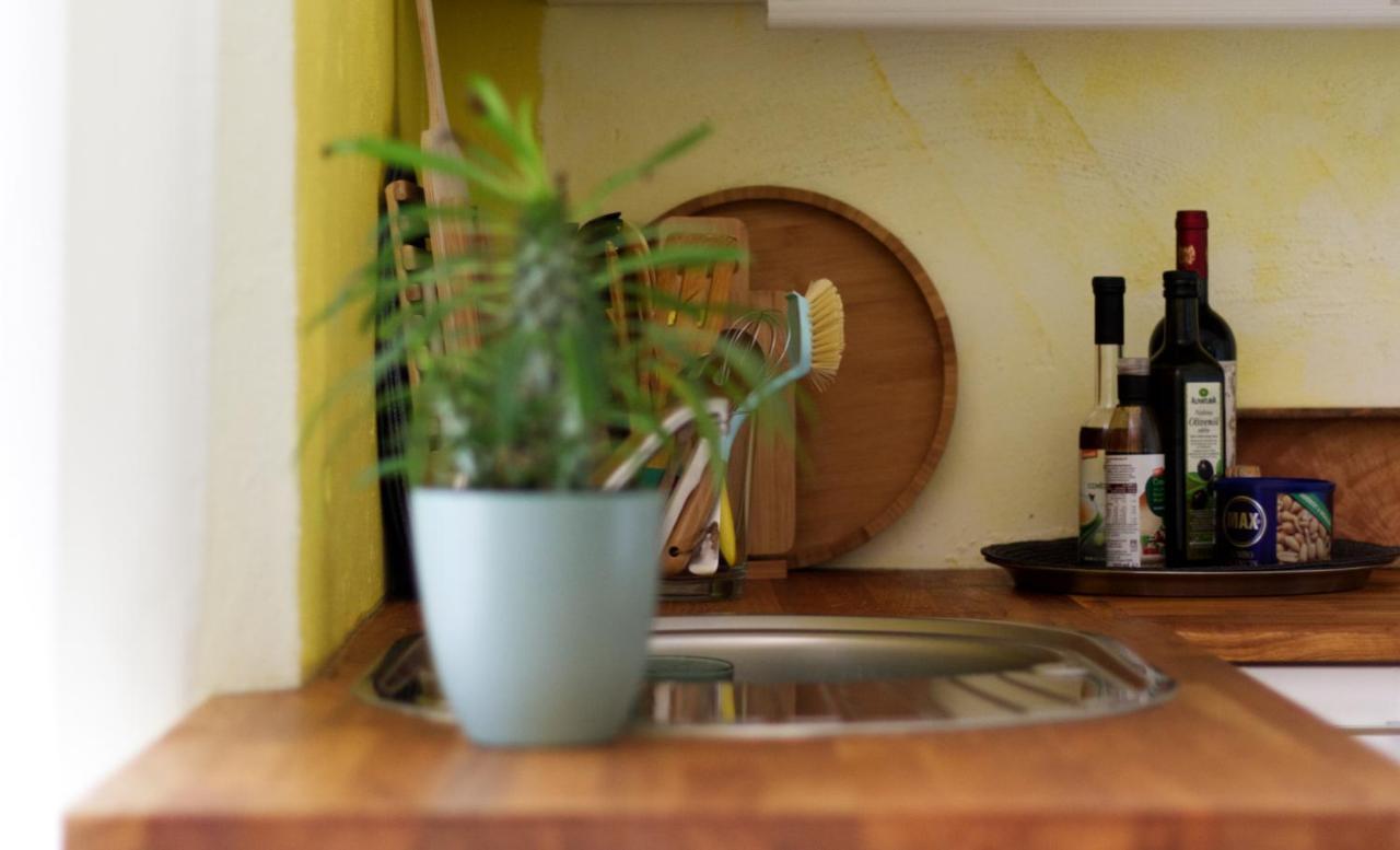 Souterrainwohnung Mit Grossem Garten Und Sauna Kassel Exterior photo